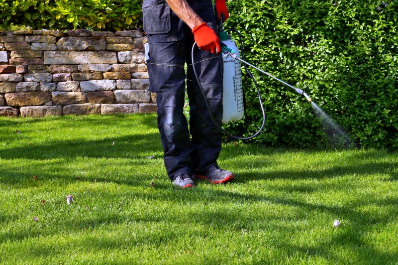Lawn Insect Spraying